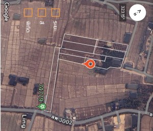 ขาย ที่ดิน ขายที่ดินอำเภอเมืองลำพูนราคาถูก ตำบลป่าสัก เจ้าของขายเอง ติดถนนบ้านบูชา-ป่าสัก ใกล้แหล่งชุมชน-ตลาด-ห้าง-โรงพยาบาล