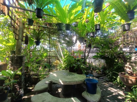 ขาย บ้าน สะดวกเดินทางหลายทาง เกษตรนวมินทร์–เอกมัย–รามอินทรา บ้านมือสองลาดพร้าวโชคชัย4 เลียบด่วน ใกล้โรงพยาบาลเปาโลโชคชัย4