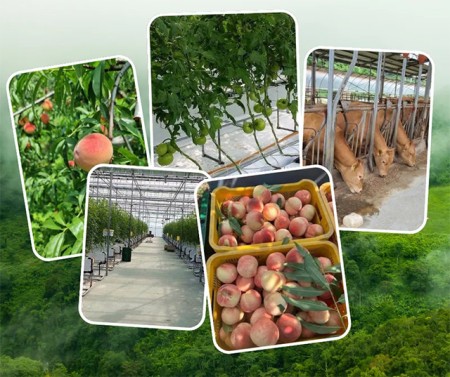 บริการ ประกาศ งานสวนประเทศเกาหลีใต้ จัดหางานต่างประเทศ รับสมัครงานต่างประเทศด่วน รายได้ดีมาก งานสวนประเทศออสเตรเลีย