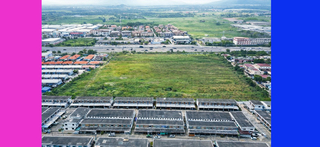 ที่ดิน ขาย ติดถนน344 ใกล้โลตัสบ้านบึง ที่ดินชลบุรี30ไร่ ราคาถูกสุด เหมาะทำหมู่บ้าน